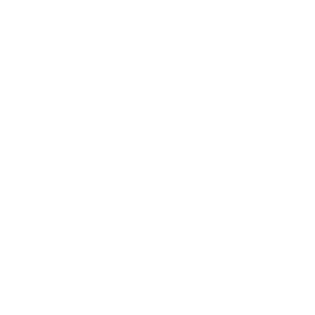 logoWindyCity